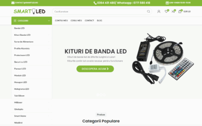 Studiu de caz – Cine este SmartLED și unde activează